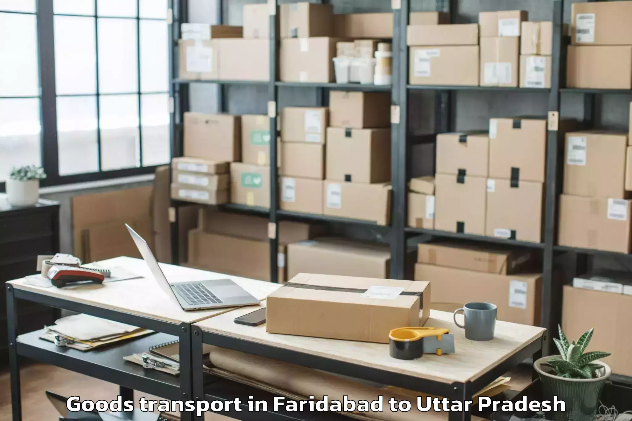 Professional Faridabad to Ghazipur Goods Transport